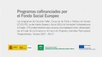 Imagen - Cartel Programas cofinanciados por el Fondo Social Europeo