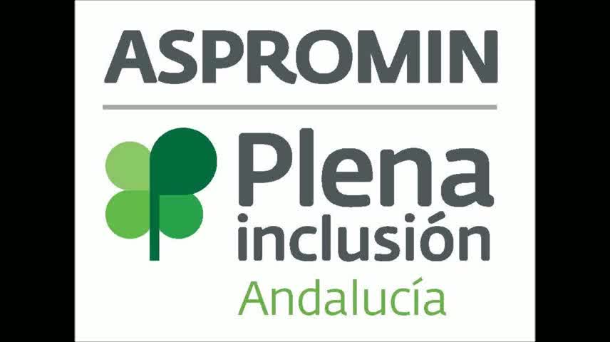 Vídeo Día Internacional de las personas con diversidad funcional