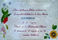 Imagen - Galardón para el Huerto escolar de ASPROMIN